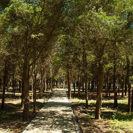 Mediterranean At Blaxy,